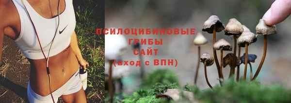 альфа пвп Покровск
