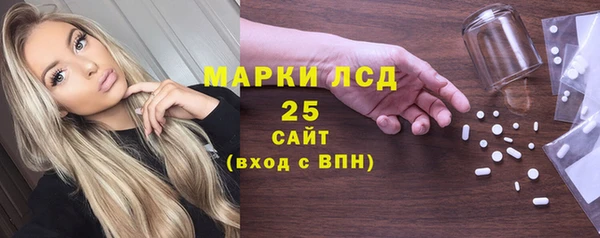 spice Бородино