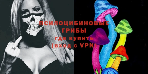 spice Бородино